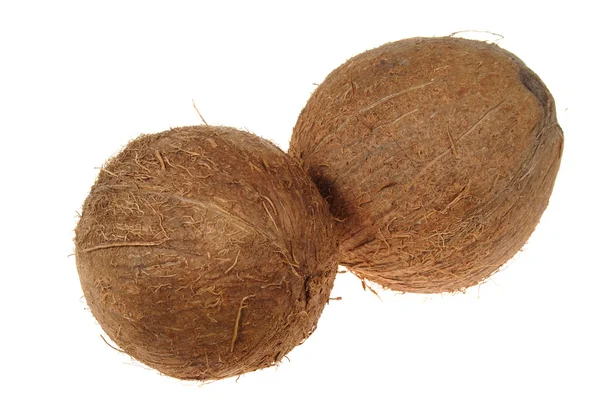 Два кокосової — стокове фото