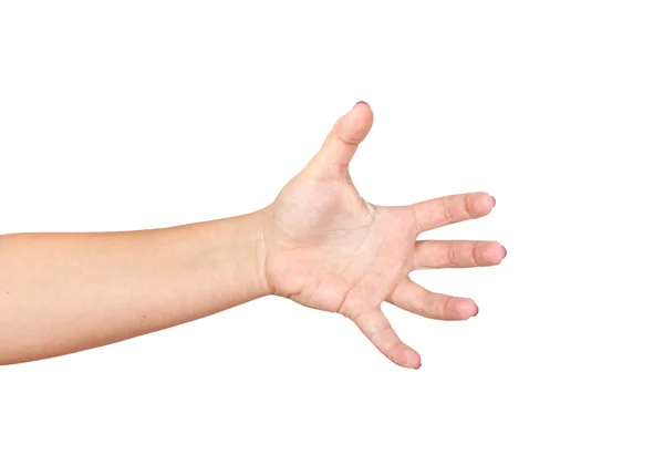 Mujer Hand — Foto de Stock