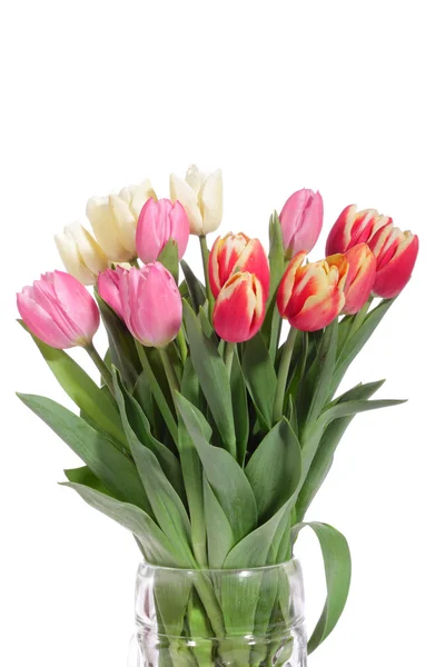 Букет зі свіжих тюльпанів — стокове фото