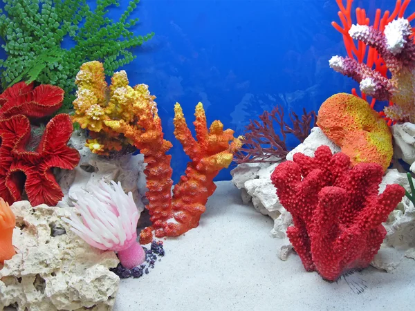 Bajo el agua piedras de colores, buceadores de color — Foto de Stock