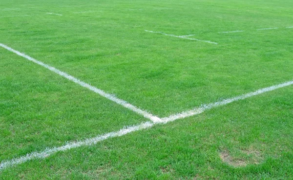 Young green grass on sport field, nature — Stock Photo, Image
