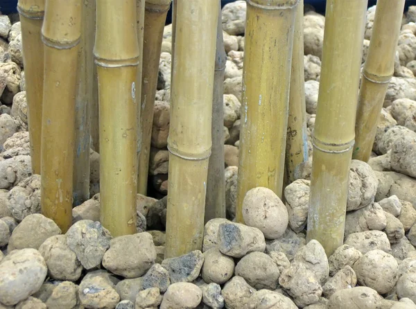 Kupie bambusa i kamienie, wnętrze streszczenie — Zdjęcie stockowe