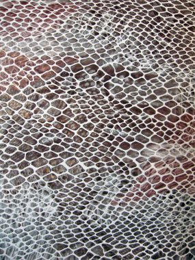 Closeup snakeskin texture, red leathern skin concept. clipart