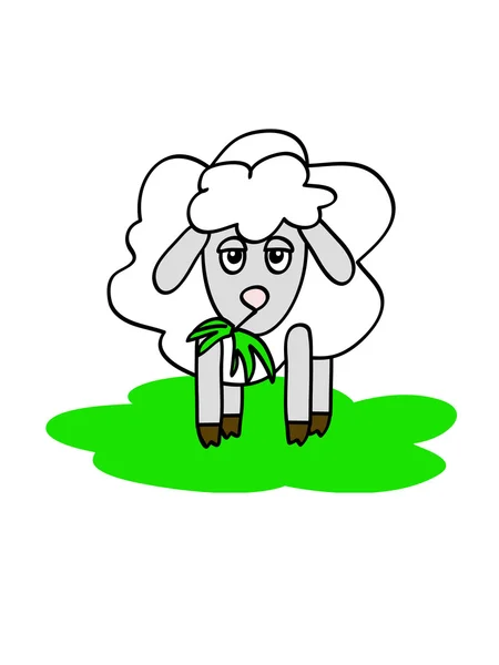 Žvýkací ovce — Stockový vektor