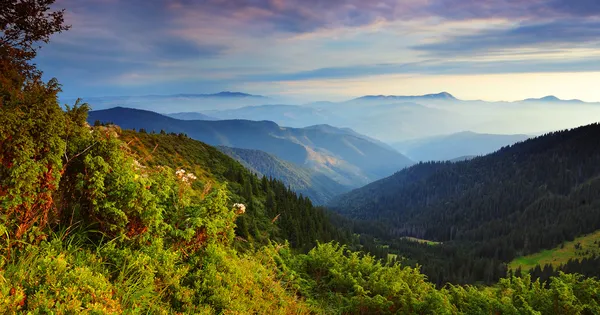Гірський пейзаж влітку — стокове фото