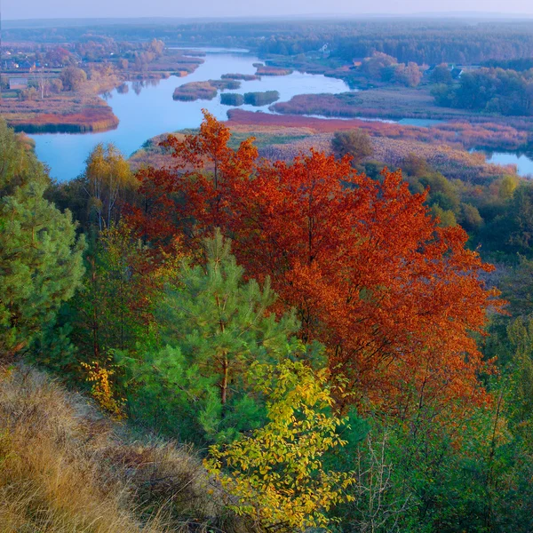 Jesienią widok na rzekę — Zdjęcie stockowe