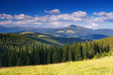 Summer landscape in mountains clipart