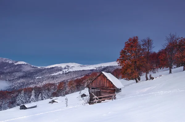 Ранок в горах і перший сніг — стокове фото
