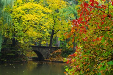 Nehirle sonbahar manzarası