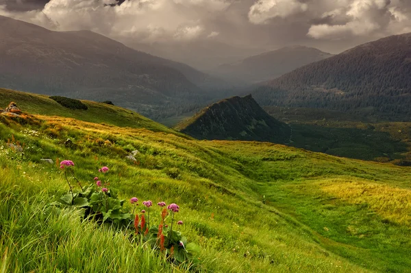 Mountain landscape in the summer — Stock Photo, Image