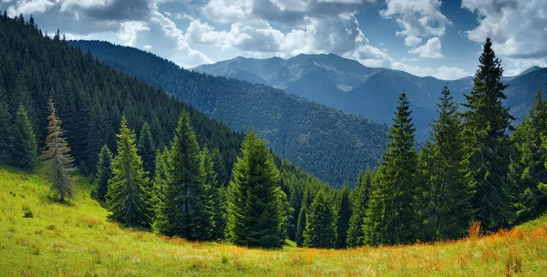 Letní krajina v horách — Stock fotografie