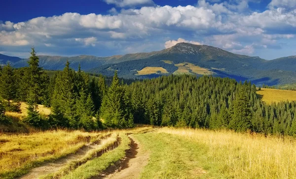 山の夏の風景 — ストック写真