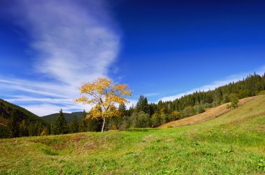 Mountain landscape in the end of summer clipart