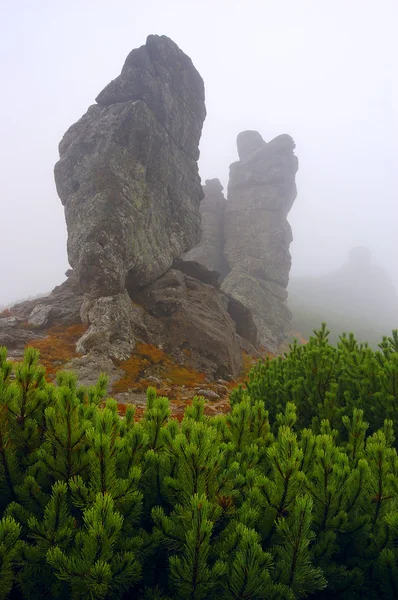 Dağlarda taş — Stok fotoğraf