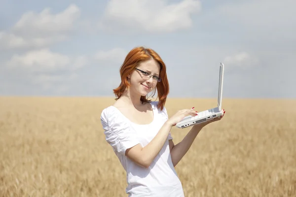 Молоді ділові жінки в білому, що працюють з ноутбуком на пшениці — стокове фото