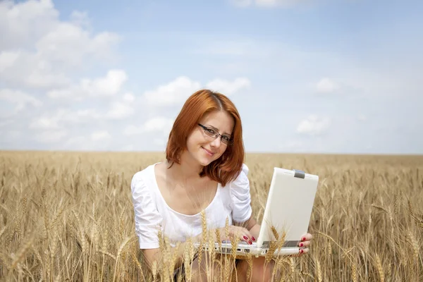 Jonge vrouwelijke ondernemers in wit werken met laptop bij tarwe fiel — Stockfoto