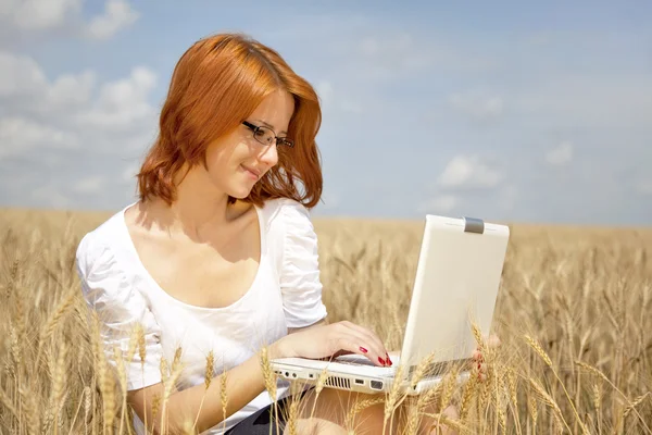 Jonge vrouwelijke ondernemers in wit werken met laptop bij tarwe fiel — Stockfoto