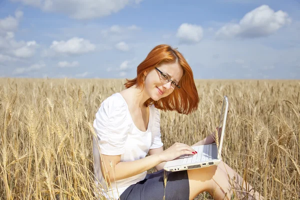 Jeunes femmes d'affaires en blanc travaillant avec ordinateur portable au champ de blé — Photo