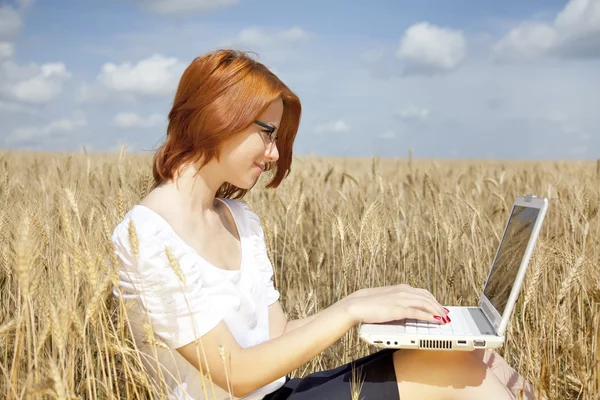 Молодые предпринимательницы в белом работают с ноутбуком на пшеничном поле — стоковое фото