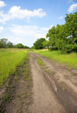 Village road in Ukraine. clipart