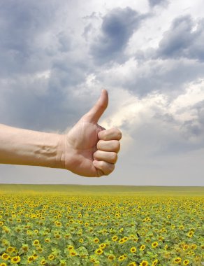 Farmer's hand symbolizes a good harvest clipart