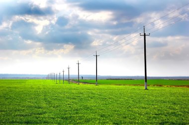 Telegraph pole at field clipart