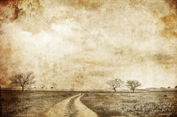 Foto del viejo camino cerca del campo. Foto en estilo de imagen antigua . —  Fotos de Stock