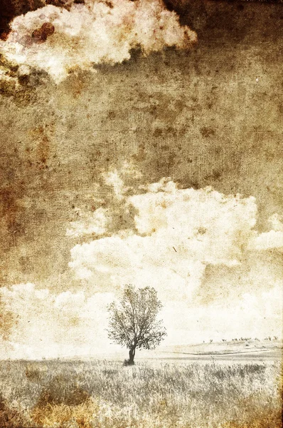 Tree in the summer field. Photo in old image style. — Stock Photo, Image