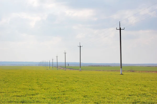 stock image Poles at green field