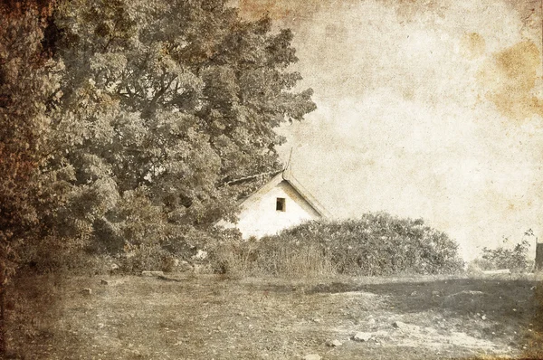 树附近的村屋。旧图像样式的照片. — 图库照片