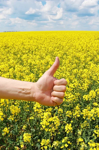 A mão dos agricultores simboliza uma boa colheita — Fotografia de Stock
