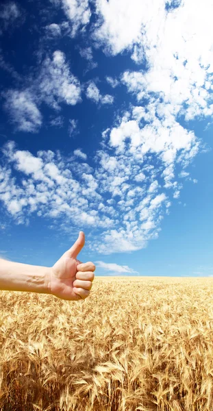 Boeren hand symboliseert een goede oogst — Stockfoto