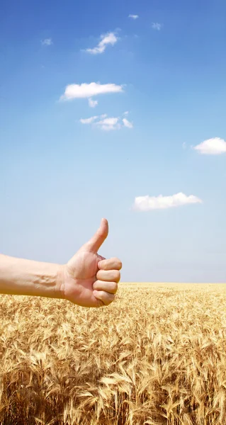 La mano degli agricoltori simboleggia un buon raccolto — Foto Stock