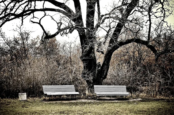Dvě lavičky v massandra zahradě — Stock fotografie