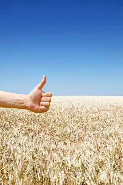 La mano del agricultor simboliza una buena cosecha — Foto de Stock