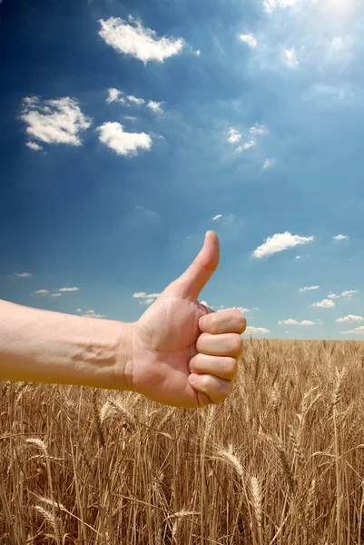 La mano del agricultor simboliza una buena cosecha — Foto de Stock