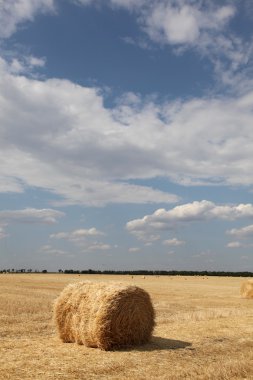 Golden Hay Bales in the countryside clipart