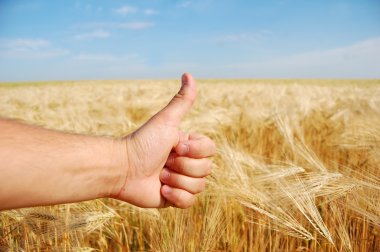 Farmer's hand symbolize this year's good harvest on yello clipart