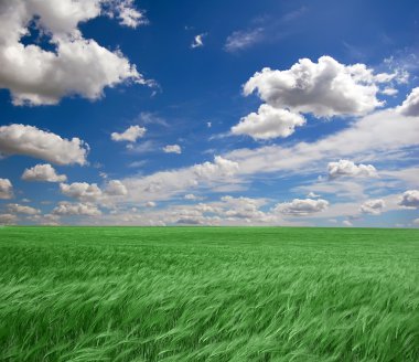 Green field clipart