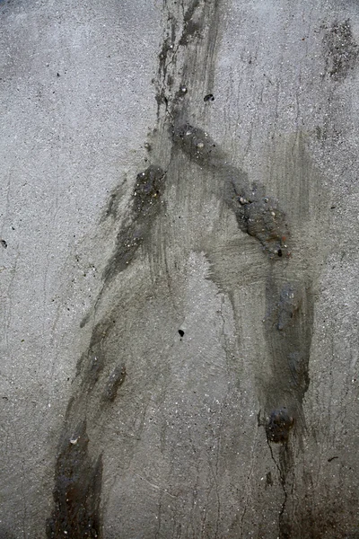 Crack au mur — Photo