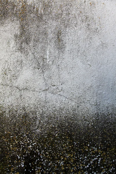 Dark mould at wall — Stock Photo, Image