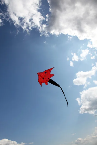 空飛ぶ凧. — ストック写真