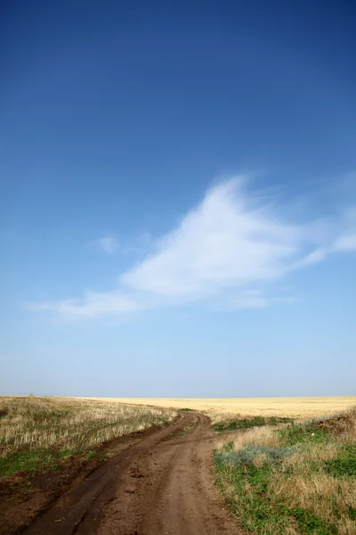 Дорога и голубое небо . — стоковое фото