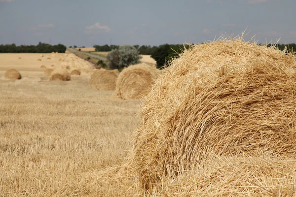 Golden Hay Bales in the countryside — Stock Photo, Image