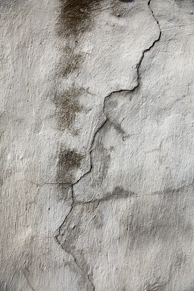벽 균열 — 스톡 사진