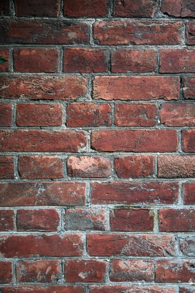 Fondo de pared de ladrillo — Foto de Stock