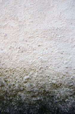 Mould at wall. Background photo. clipart