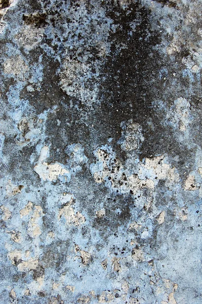 Mould at wall. Background photo. — Stock Photo, Image