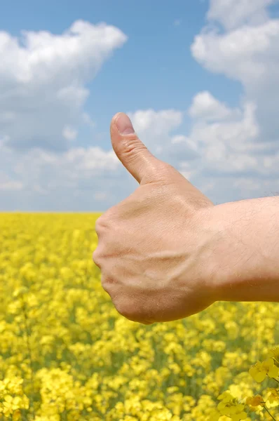 Gazdálkodók kéz szimbolizálja az idei termés — Stock Fotó