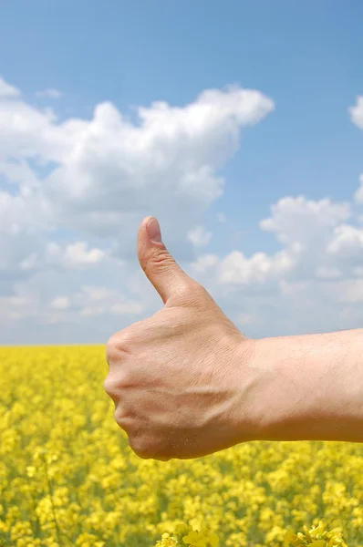 Farmer's hand symbolize this year's harvest — Stock Photo, Image